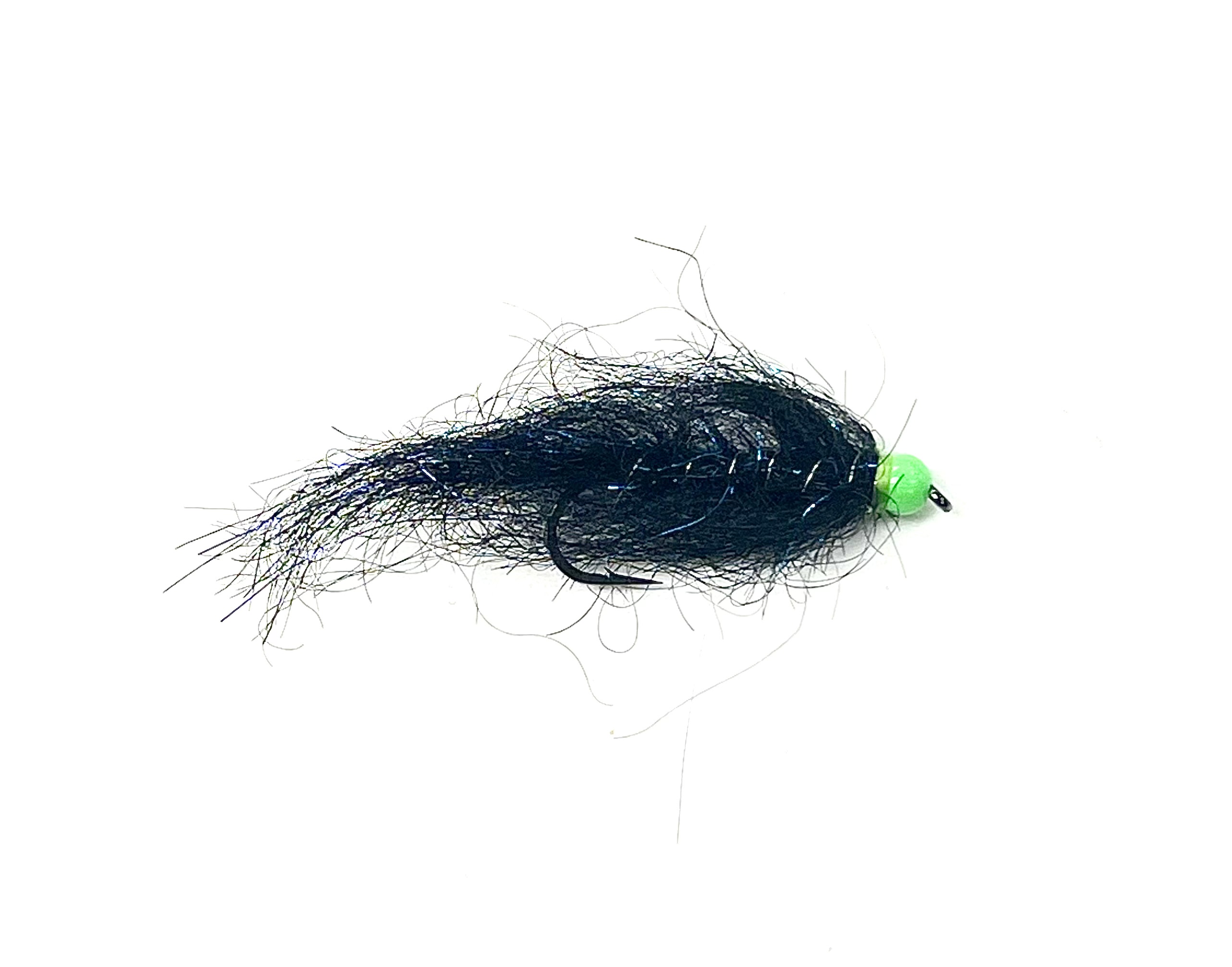 Rohmer's BH Simi Seal Leech